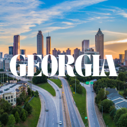 Georgia Excess Funds List